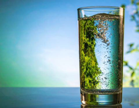 The Role of Hydration: How Water Impacts Your Body and Mind