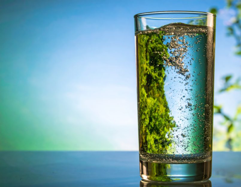 The Role of Hydration: How Water Impacts Your Body and Mind